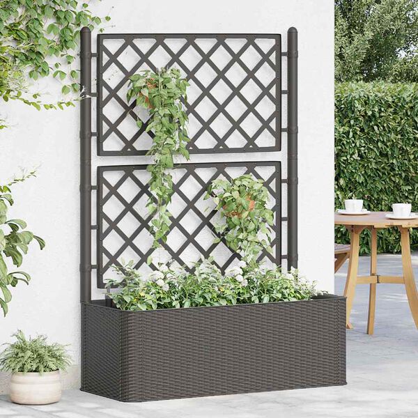 vidaXL Lit surélevé de jardin treillis système d'arrosage Anthracite