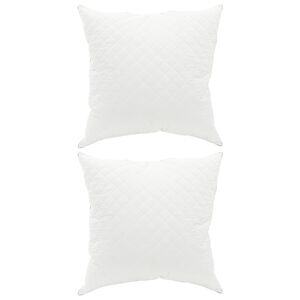 vidaXL Oreiller FULDA 2 pc 60 x 60 cm 100% duvet d'oie et plumes Blanc