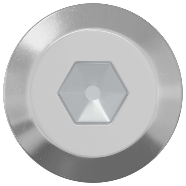 vidaXL Vis 12 pcs Argent&eacute; M6 x 60 mm Acier