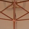 vidaXL Parasol d'ext&eacute;rieur avec m&acirc;t en bois 200 x 300 cm taupe