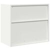 vidaXL Armoire de rangement Blanc 80 x 40 x 70 cm Acier