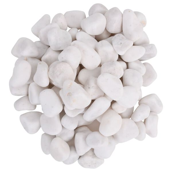 vidaXL Galets polis 10 kg blanc 2-5 cm