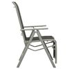 vidaXL Chaise de jardin inclinable textilène et aluminium argenté
