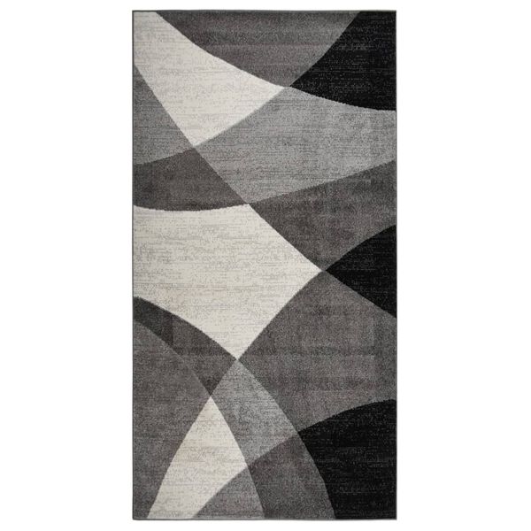 vidaXL Tapis de salon 80x150 cm Multicolore