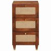 vidaXL Buffet Marron 40 x 33.5 x 75 cm Rotin et bois de mango massif