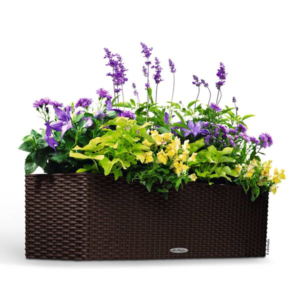 LECHUZA Jardini&egrave;re BALCONERA Cottage 80 ALL-IN-ONE Moka