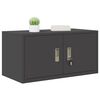 vidaXL Armoire de rangement Noir 80 x 40 x 40 cm Acier