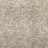 vidaXL Tapis ISTAN &agrave; poils longs aspect brillant beige &Oslash; 200 cm