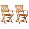 vidaXL Chaises pliantes, lot de 2, en bois d'eucalyptus massif