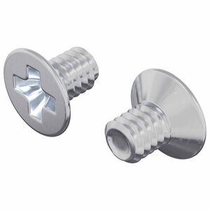 vidaXL Vis &agrave; t&ecirc;te frais&eacute;e 2 pc Argent&eacute; M4 x 6 mm Acier