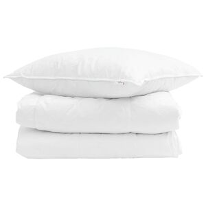 vidaXL Duvet d'&eacute;t&eacute; simple avec oreiller 2 pcs Blanc Down Feather