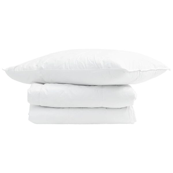vidaXL Duvet d'été simple avec oreiller 2 pcs Blanc Plume de canard