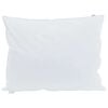 vidaXL Oreiller 2 pc 60 x 80 cm Plume Blanc