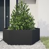 vidaXL Jardini&egrave;re noir hexagone 138x120x45 cm acier