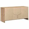 vidaXL Unites TV Marron 100 x 34 x 50 cm Bois d'ing&eacute;nierie