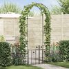 vidaXL Arche de jardin avec verrouillage Noir 203 x 50 x 218 cm