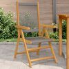 vidaXL Chaises de jardin lot de 2 gris bois d'acacia et polypropylène