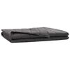 vidaXL Couverture Pond&eacute;r&eacute;e Anthracite 220 x 235 cm 11 kg