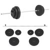 vidaXL Ensemble de halt&egrave;res 30 kg