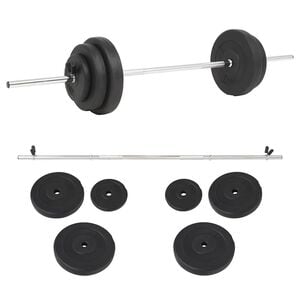 vidaXL Ensemble de halt&egrave;res 30 kg