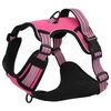 vidaXL Harnais pour chien et bandes r&eacute;fl&eacute;chissantes r&eacute;glables rose XL