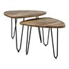 HSM Collection Ensemble de tables basses 2 pcs Dexter