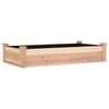 vidaXL Lit sur&eacute;lev&eacute; de jardin doublure 120x60x25 cm bois massif sapin