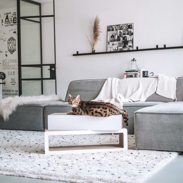 DISTRICT70 Griffoir pour chats 2 en 1 STRETCH