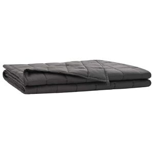 vidaXL Couverture Pond&eacute;r&eacute;e Anthracite 152 x 203 cm 11 kg