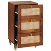vidaXL Buffet Marron 40 x 33.5 x 75 cm Rotin et bois de mango massif