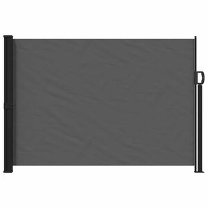 vidaXL Store lat&eacute;ral r&eacute;tractable Anthracite 300 x 170 cm Polyester