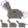 vidaXL Fauteuil inclinable Taupe Tissu