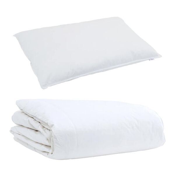 vidaXL Duvet d'été simple avec oreiller 2 pcs Blanc Plume de canard