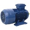 vidaXL Moteur &eacute;lectrique triphas&eacute; Aluminium 2,2kW/3 CH 2840 tr/min