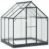 vidaXL Serre de jardin 183,5 x 183,5 x 207 cm