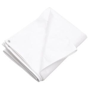 vidaXL B&acirc;che 260 g/m&sup2; 2x3 m Blanc PEHD