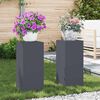 vidaXL Support de Plante 2 pcs Anthracite 24 x 24 x 55 cm Acier