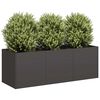 vidaXL Jardini&egrave;re Noir 120x40x40 cm Acier lamin&eacute; &agrave; froid
