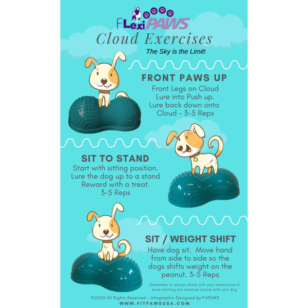 FitPAWS Plate-forme d'agilit&eacute; pour animaux de compagnie 70x40x32 cm