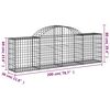 vidaXL Paniers à gabions arqués 18 pcs 200x30x60/80 cm Fer galvanisé