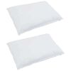 vidaXL Oreiller avec oreiller 2 pcs Blanc 50 x 75 cm Plume