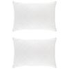 vidaXL Oreiller FULDA 2 pc 50 x 70 cm 100% duvet d'oie et plumes Blanc