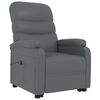 vidaXL Fauteuil Anthracite Similicuir