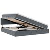 vidaXL Lit de rangement LED avec matelas Gris fonc&eacute; 200 x 200 cm