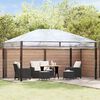 vidaXL Remplacement de housse de gazebo Transparent 400 x 300 x 32 cm