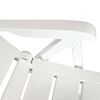 vidaXL lot de 2 Chaises inclinables de jardin Plastique Blanc