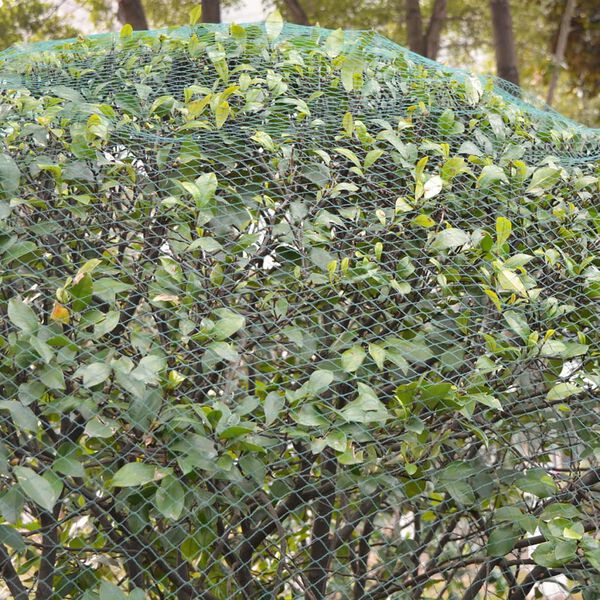 vidaXL Filets anti-oiseaux 2 pcs 6 x 8 m en PE