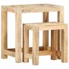 vidaXL Tables d'appoint peintes &agrave; la main 2pcs Bois de Manguier solide