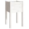 vidaXL Jardini&egrave;re d'ext&eacute;rieur Blanc 40x40x70 cm Bois de pin massif