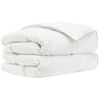vidaXL Couette FULDA 155 x 220 cm Hiver 300 GSM 90% duvet de canard